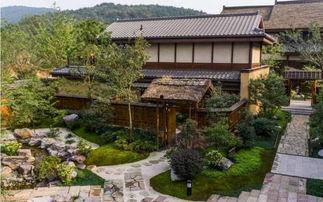 91九色丨精品丨入口,解锁无限精彩世界